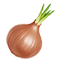 Onion