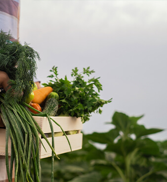 B2B Fresh Produce UAE