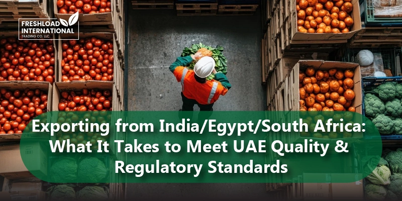 Exporting from India/Egypt/South Africa