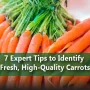7 Expert Tips to Identify Fresh High Quality Carrots_11zon 90x90