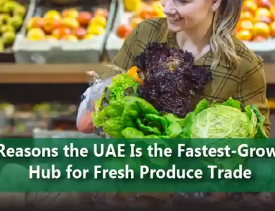 10 Reasons the UAE Is the Fastest Growing Hub for Fresh Produce Trade