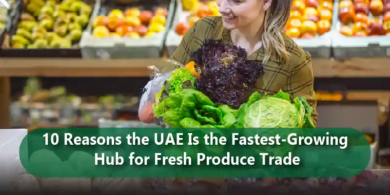 10 Reasons the UAE Is the Fastest Growing Hub for Fresh Produce Trade